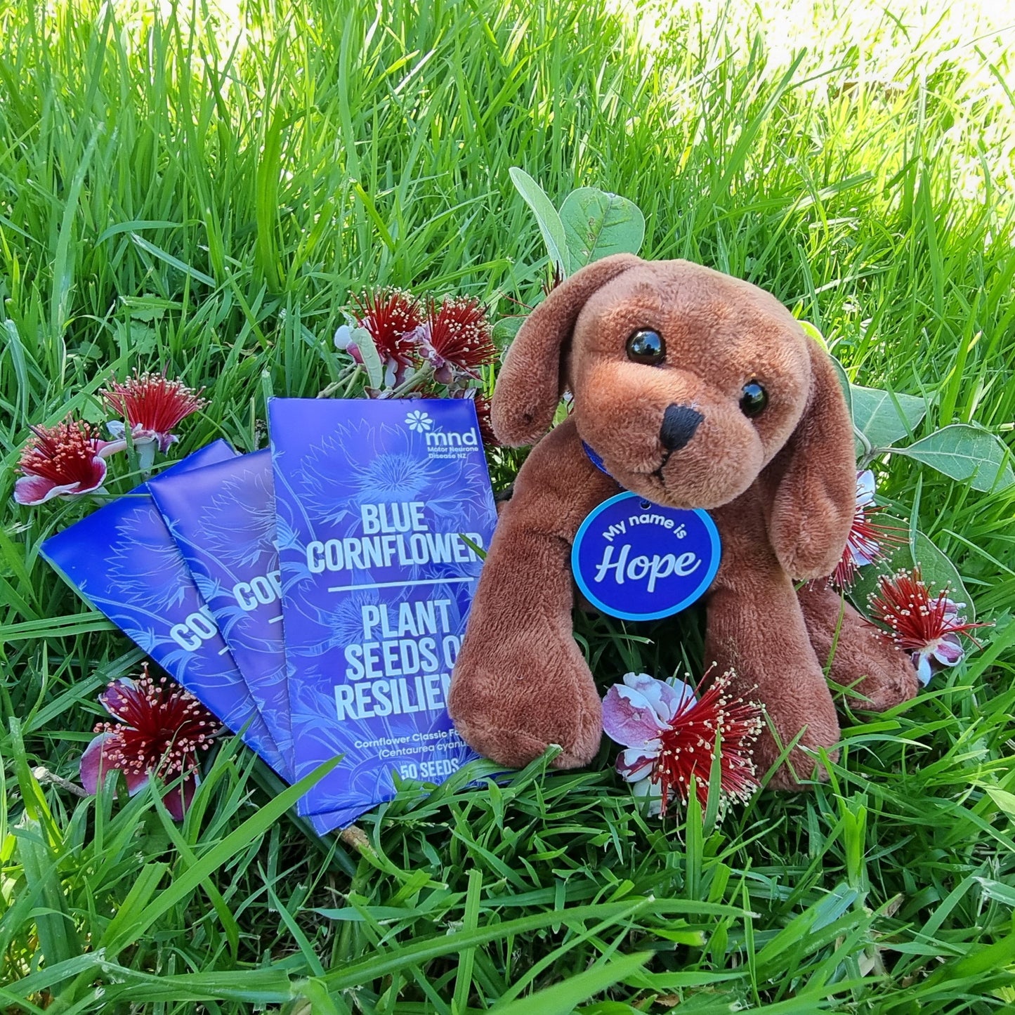 Christmas Hope Bundle – One Hope Pup & Three Cornflower Seed Packets