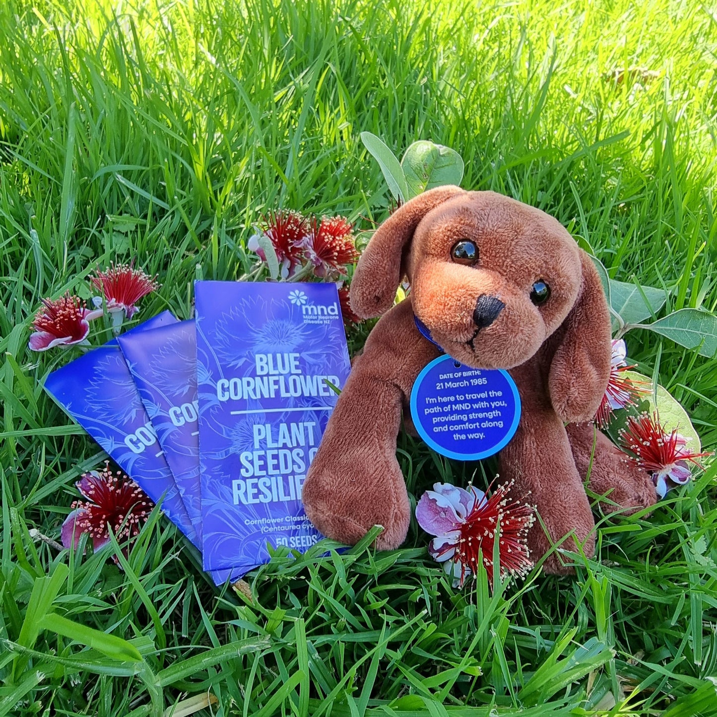 Christmas Hope Bundle – One Hope Pup & Three Cornflower Seed Packets
