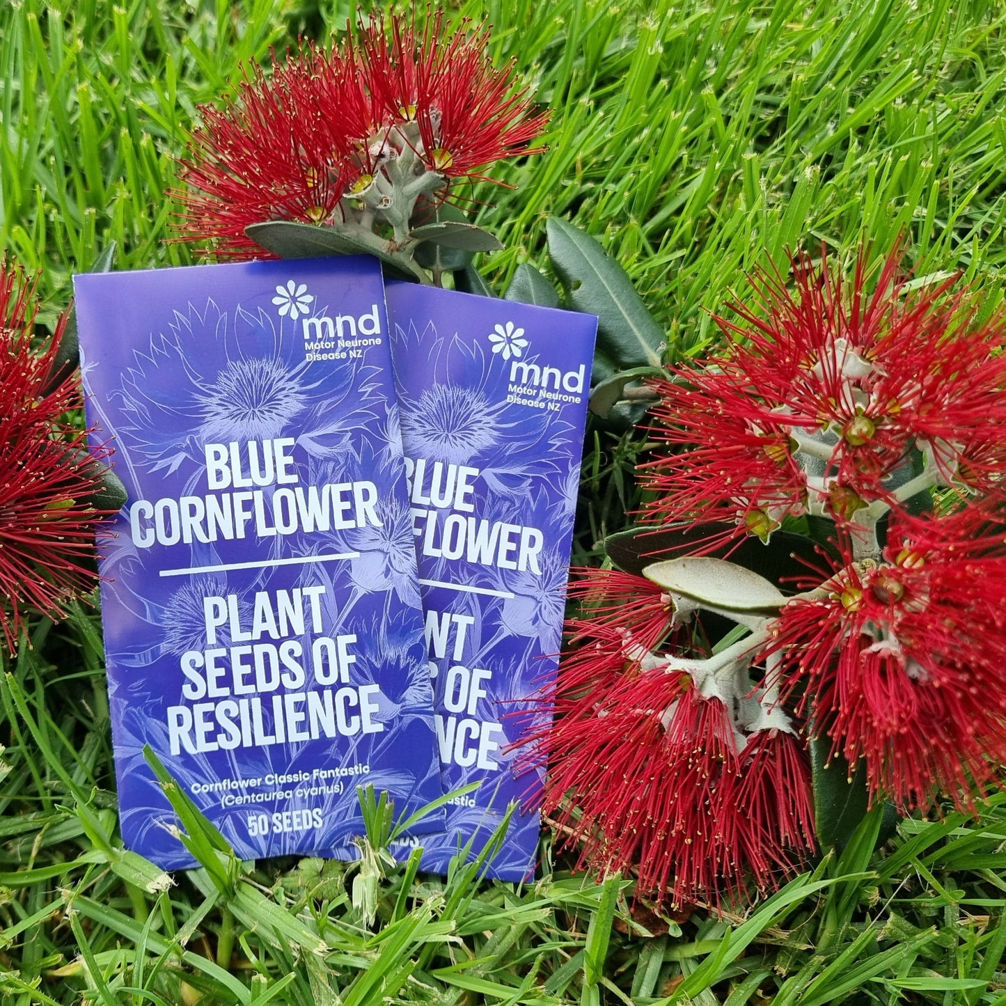 Christmas Hope Bundle – One Hope Pup & Three Cornflower Seed Packets